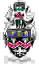 奇德尔城logo
