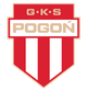 波贡格罗兹克logo