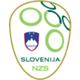 斯洛文尼亚U19logo