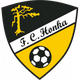 洪卡logo